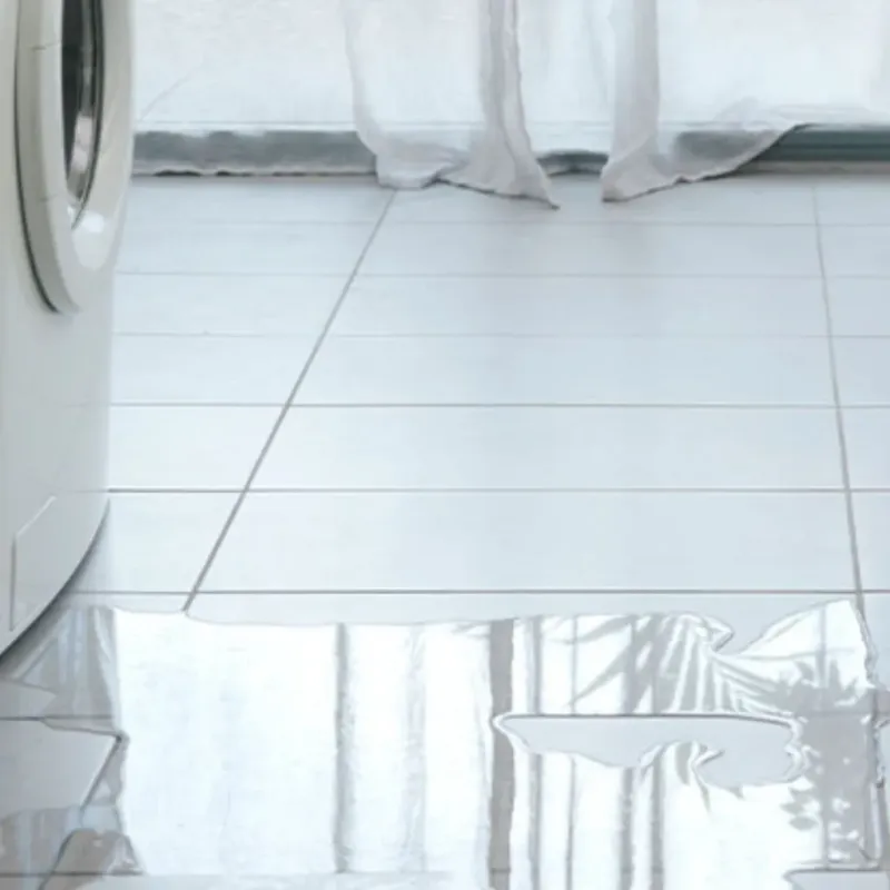 Appliance Leak Cleanup in Calhoun County, IL