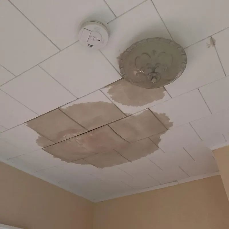 Ceiling Water Damage Repair in Calhoun County, IL