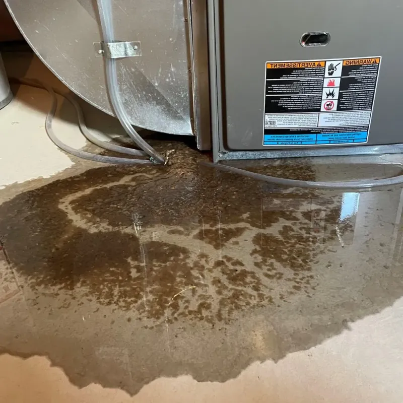 Pipe Burst and Leak Restoration in Calhoun County, IL