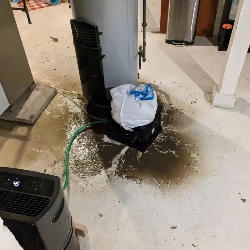 Sewage Backup Cleanup Service in Calhoun County, IL